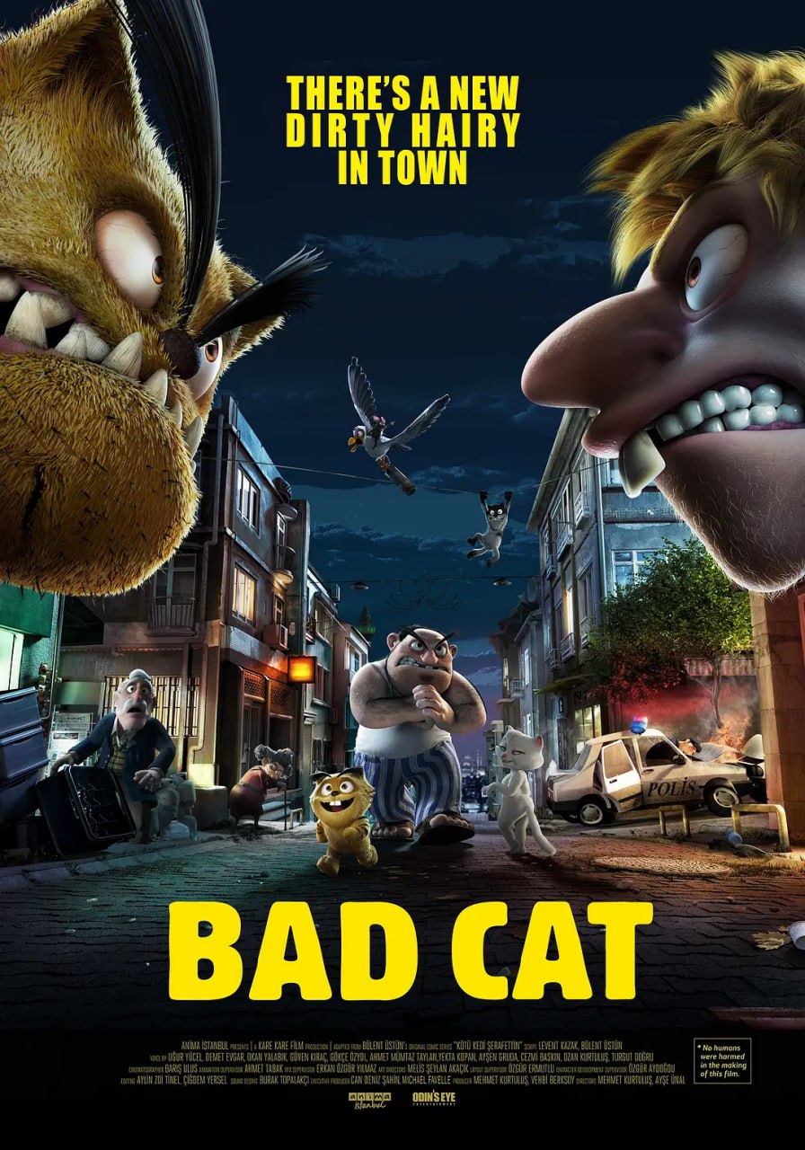 2018动画片《痞子猫》迅雷下载_中文完整版_百度云网盘720P|1080P资源