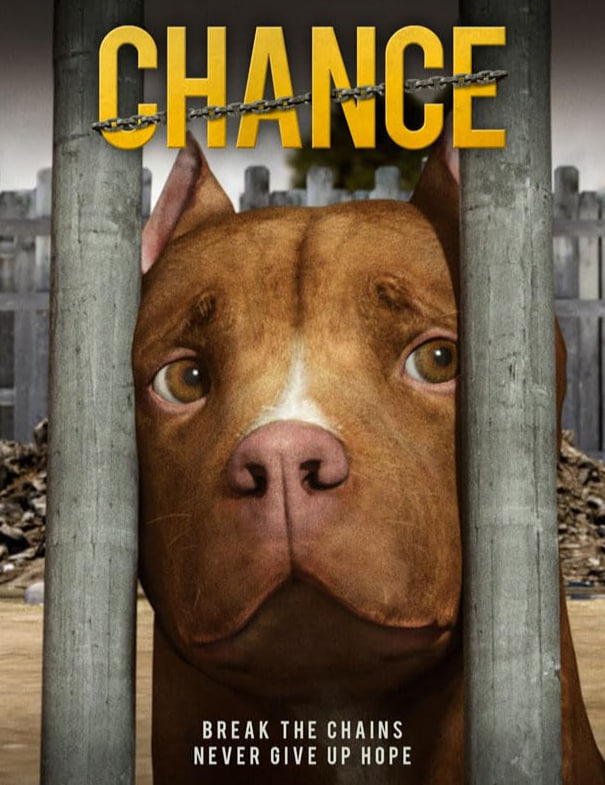 2018动画片《机会》迅雷下载_中文完整版_百度云网盘720P|1080P资源