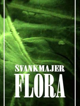 2018动画片《花神》迅雷下载_中文完整版_百度云网盘720P|1080P资源